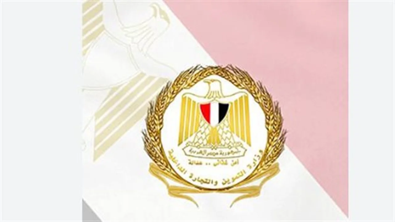 تجنب الإيقاف.. المستندات المطلوبة لتحديث بطاقة التموين